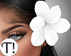 T! Dreamy White Bundle