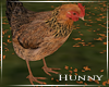 H. Animated Chicken