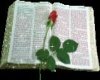 Rose n Bible