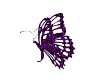 Butterfly seat Purple