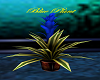 Blue Plant