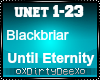 BlackbriarTil Eternity 2