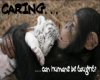 CARING chimp anjana