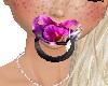 little gurl Paci 