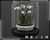 R║ Plant Display