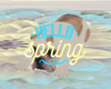 Hello Spring Doggy