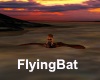[BD]FlyingBat