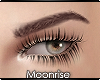 m| ScarlaMH brows+lashes