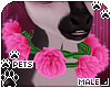 [Pets] Nia | rose collar