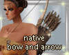 Native Bow & Arrow