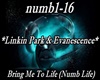 LinkinPark/Evanescence