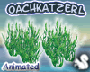 -OK- Sea Weed Animated 2