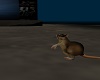 Animated Ghetto Rat