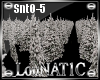 Snow Trees Dj Light