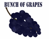 BUNCH OF GRAPES BLUE