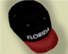 FLORIDA snaoback