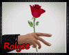 RL/ Vendetta Rose