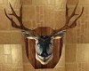TGR Deer head