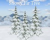 Snowy Fir Tree