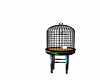 new bird in cage