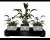 3 Plant Planter