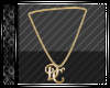 DC Gold Necklace M