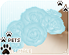 [Pets]Kimi | shldr roses