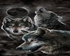 Grey Wolf Moon Swing