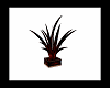 brown plant 1