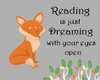 Fox Reading Dream