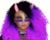 black purple curls dina