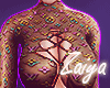 +Louis Top+ V3 +