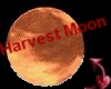 Devil~ Harvest Moon