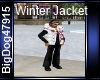 [BD] Winter Jacket