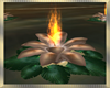 Secret Love Fire  Lily