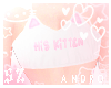 sz┃ Pink kitten ♡