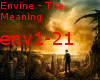 Envine - The Meaning