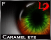 [LD]Carame Eye Female