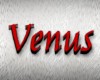 Venus Stocking