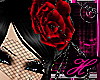 Vintage Red Tango Rose