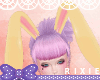 Cute Bunny Ears 