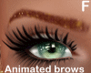 brown brows gold sparksF