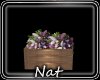NT Eden Flower Box
