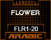 ♫FLR - FLOWER ARABIC