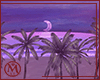 ℳ▸Delicia Beach