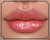 * Glossy Diane Lipstick5