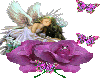 twinkle rose/ fairy