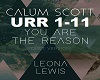 You Are The Reason-CS&LL