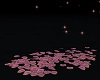 SSD Pink Petals