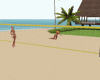 *Beach Volleyball*